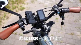 2021年式最新款FTN T20 1000W《日規特仕版》E-bike 20吋電動自行車 原廠授權三年保固 台灣保固維修