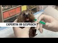 Igel in Not | RON TV