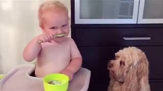 #johnnyjohnnyigenpapi #littleangel #nurseryrhymes #metoo Funny baby playing with animal compilation