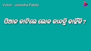 ପିଆଜ କାଟିଲେ ଲୋକ କାନ୍ଦନ୍ତି କାହିଁକି ? || Voice:- Jalendra Palata ||