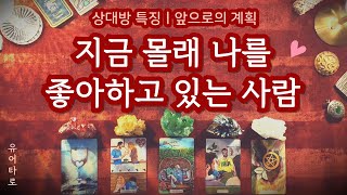 [타로] 지금 남몰래 당신을 좋아하고 있는 사람💓 상대방 특징ㅣ앞으로의 계획🔮