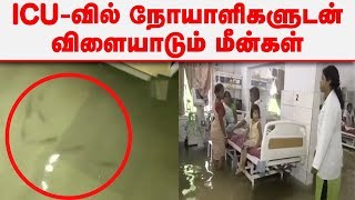 ICU–வில் நோயாளிகளுடன் விளையாடும் மீன்கள்