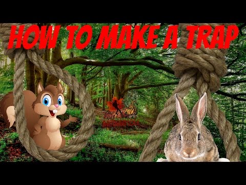 HOW TO MAKE A TRAP. ( SQUIRREL / RABBIT ) HOW TO MAKE A TRAP. ( SQUIRREL / RABBIT )