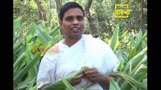 Ayurvedic use of Turmeric (Haldi) | Acharya Balkrishna