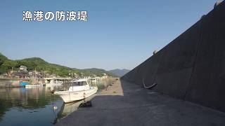 越前海岸の漁港の防波堤で釣りをしてみた