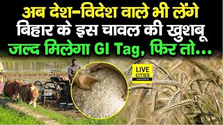 Now people from India and abroad will also enjoy the fragrance of Bihar's Sonachur Rice, it will soon get GI Tag. Bihar News