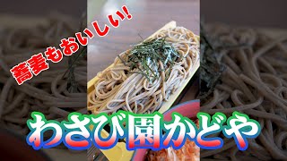 河津のかどやのわさび丼は蕎麦とセットにしました #Short