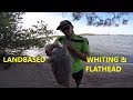 LANDBASED Whiting and Big Flathead