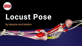 Master the Locust Pose: Strengthen Your Back \u0026 Fix Mistakes