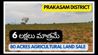 Prakasam District Pullalacheruvu Mandal ||Town Highway  Tharuroddu, 9km || 80 Acres land sale