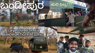 ಕೊನೆಗೂ ಹುಲಿ ದರ್ಶನ ಆಯ್ತು I Bandipur     #bandipur #tigerreserve #kannadavlog