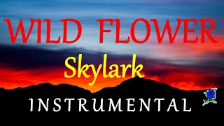WILD FLOWER  -  SKYLARK instrumental (HD) lyrics