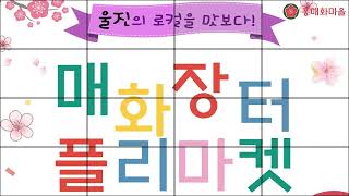 울진 매화마을 플리마켓 홍보영상 1편