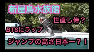 『新屋島水族館』イルカライブ（2021.9.23）