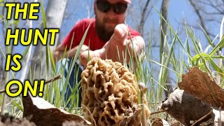 The Morels Are POPPING! | Nebraska Morel Mushroom Hunting 2019