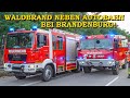 [WALDBRAND NEBEN AUTOBAHN] - BÖSCHUNG & WALD IN FLAMMEN - | FEUERWEHR im EINSATZ | Brandenburg | A2