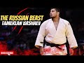 🔥【The Beast Тамерлан БАШАЕВ 】|👑Tamerlan BASHAEV ✨TOP IPPONS 🔥