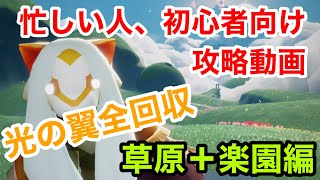 【忙しい人、初心者向け】光の翼全回収🌟草原＋楽園編【Sky攻略】