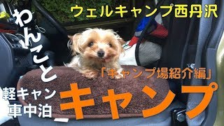 【わんことキャンプ】軽キャンでウェルキャンプ西丹沢_vol.1