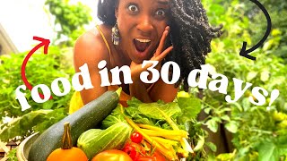 Meet a DECK Gardener Growing POUNDS of Food EVERY WEEK | Ways to Grow Food Fast in a Small Space