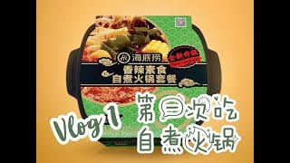 【Vlog#1】在美国第一次吃海底捞香辣素食自煮火锅 | 究竟好不好吃？| 彩蛋