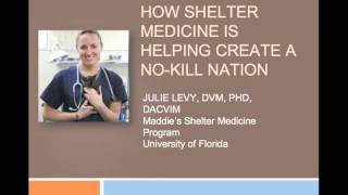 Chapter 1: How Shelter Medicine is Helping Create a No Kill Nation