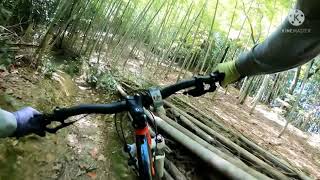 2021.10.30 マウンテンバイク [MTB] トレイルライド １人でいつものJ山