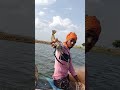 Tiger Prawns 🦐 #fishing #prawns #tigeprawns #tigerjhinga #trending #viral #shorts #youtubeshorts