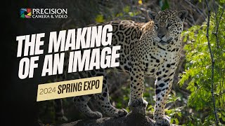 The Making of an Image - Behind the Scenes of Wildlife Images