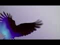 Elderbrook & Shimza - Places (Marten Lou Remix)