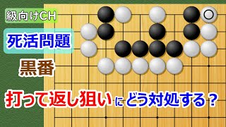 【囲碁問題】級向け・実戦死活の問題（二間ビラキからできる基本死活）