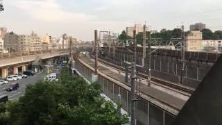 赤羽八幡神社　MAXとき　マックスとき