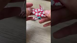 Sakura Origami Paper Cranes Asmr Sounds Folding