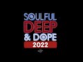 Soulful Deep & Dope 2022 - Mixed by Risk Assessment