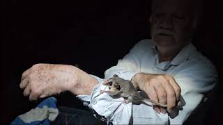 Reporte del maestro Luis Eugenio Rivera desde México #elsalvador #biodiversidad #biology