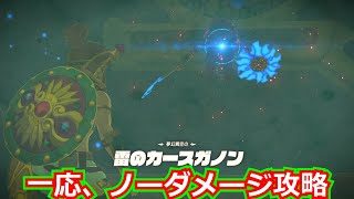 [ゼルダの伝説]夢幻異空の雷のカースガノンをノーダメージ攻略(一応)した。