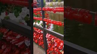 🇨🇵love lock#colmar France#Ganzen Videos⬇️#travel＃法國科尔马＃爱情锁