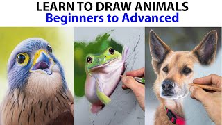 Learn to draw animals, Beginner /Advanced Pastel lessons -Professional artist - Jason Morgan