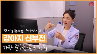 강아지 신부전 치료방법 | 급성신부전, 만성신부전 관리방법