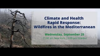 Climate and Health Rapid Response: Wildfires in the Mediterranean