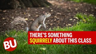 Understanding Animal Behavior: There’s Something Squirrely About This Class