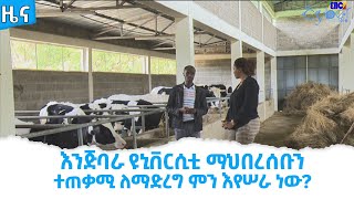 እንጅባራ ዩኒቨርሲቲ ማህበረሰቡን ተጠቃሚ ለማድረግ ምን እየሠራ ነው? Etv | Ethiopia | News