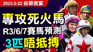 【中佬賽馬預測】2月22日谷草夜賽 專攻3場唔抵搏🔥#專攻R3-6-7場#死火馬 賽馬預測 💰🔥🐎#賽馬賠率#賽馬直播 #賽馬貼士#冷馬#過關#爆冷