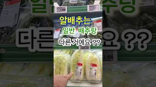 팔방미인 알배추! 그냥 비싼 배추 속인 줄 알았는데￼~~!!￼  #알배추 #쌈배추 #배추 #쌈채소 #샤브샤브