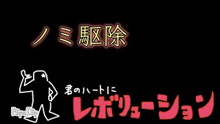 捕らえたノミの観察とレボリューション★【保護猫、野良猫】