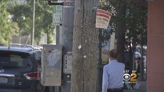 Illegal Signs In Elmont