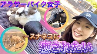 【アラサーバイク女子】スナネコに会いに埼玉県こども動物自然公園までソロツーしてきた！｜るんちゃんと8464!!