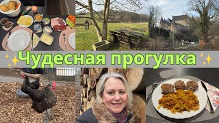 VLOG🇩🇪 Наш завтрак/ Прогулка в лесу/Замок с водопадом на пути/Куда хотелось бы вернуться/Ужин просто