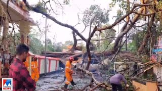 കോന്നി മുരിങ്ങമംഗലം ക്ഷേത്രത്തിലെ 100 വര്‍ഷത്തിലധികം പഴക്കമുള്ള ആല്‍മരം ഒടിഞ്ഞു വീണു| Konni Temple