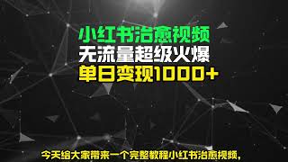 【完整教程】小红书治愈视频，流量超级火爆，单日变现1000+ | 老张项目网